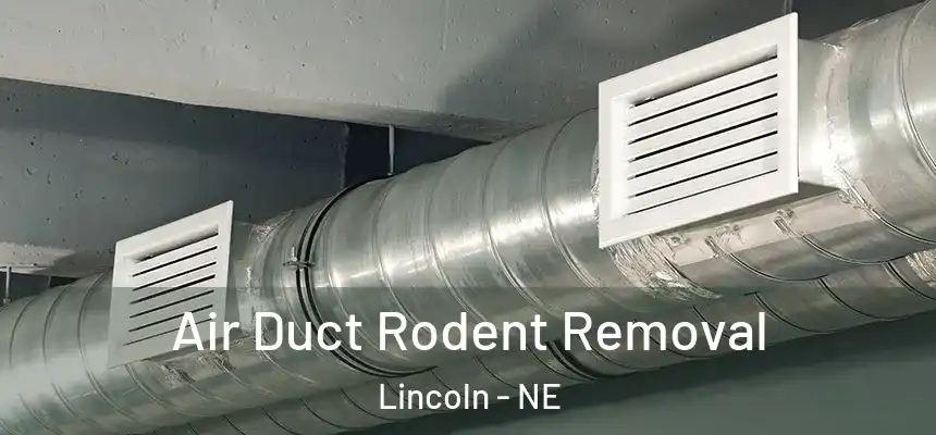  Air Duct Rodent Removal Lincoln - NE