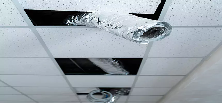 Affordable HVAC Sanitizing After Pest Removal in Lincoln