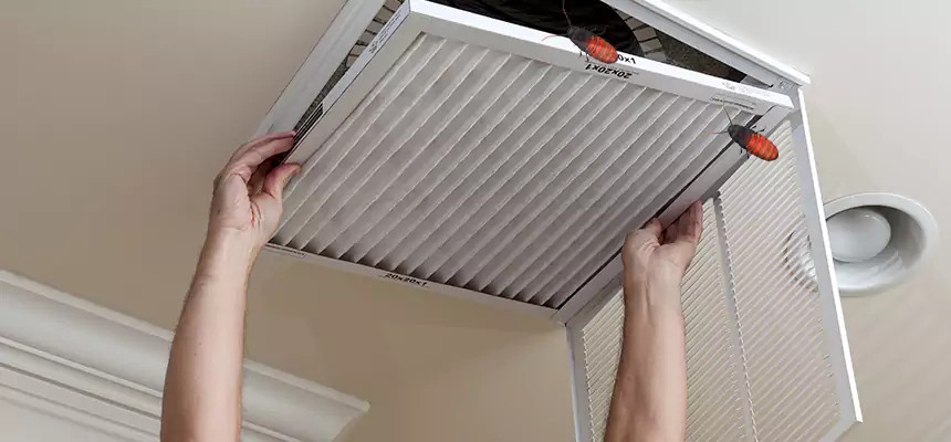 Our Insect Removal from Air Ducts Services in Lincoln, NE