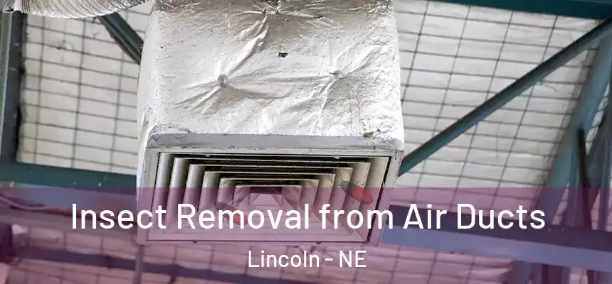 Insect Removal from Air Ducts Lincoln - NE