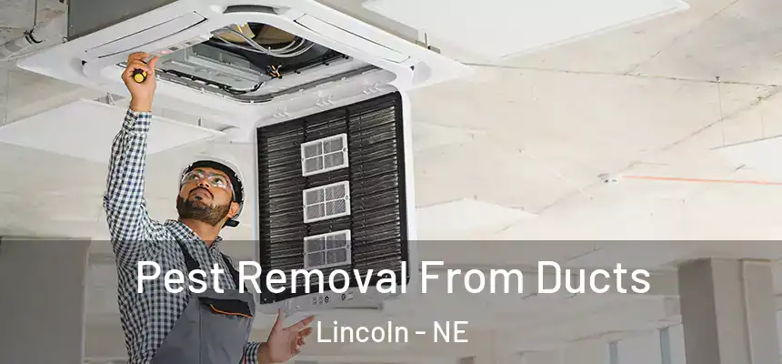  Pest Removal From Ducts Lincoln - NE