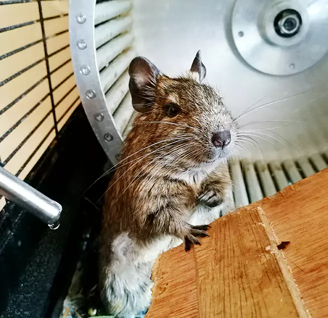 Why Homeowners & Businesses Trust Us Lincoln, NE