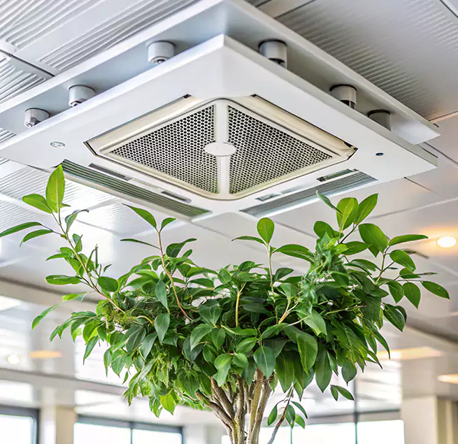 Why Homeowners & Businesses Trust Us in Lincoln, NE?